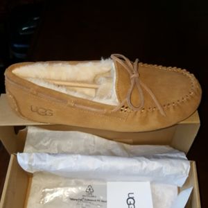 20:08 UGG DAKOTA SLIPPERS (Can Fit Women’s 7.5)